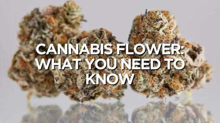 Cannabis Flower: What You Need to Know