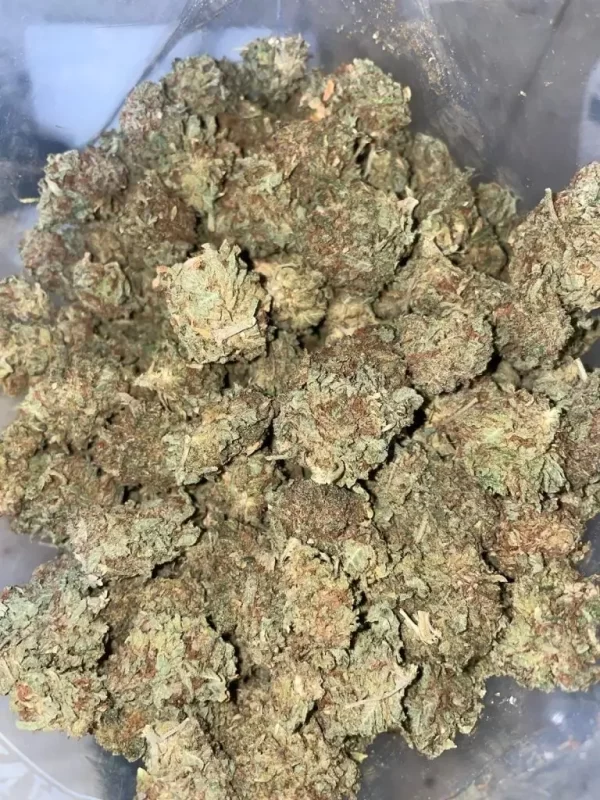 AA EAST COAST SOUR DIESEL