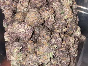 AAAA GRAPE GOTTI BY GREEN VALLEY