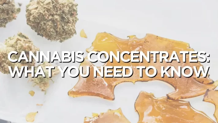 Cannabis Concentrates: What You Need To Know