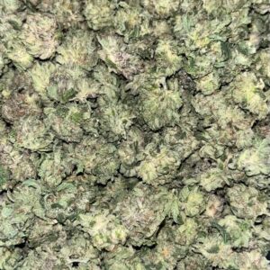 AAA+ Mendo Breath Smalls