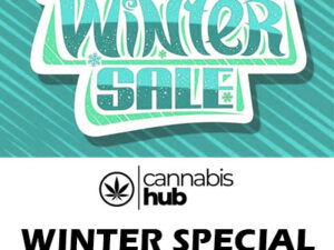 WINTER SPECIAL BIGS PROMO BUNDLE - Cannabis Hub