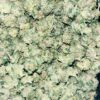 Wholesale 8 AAA+ GAS MASK SMALLS