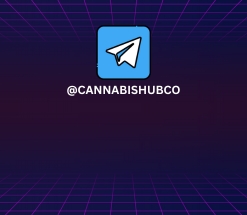 cannabishub telegram