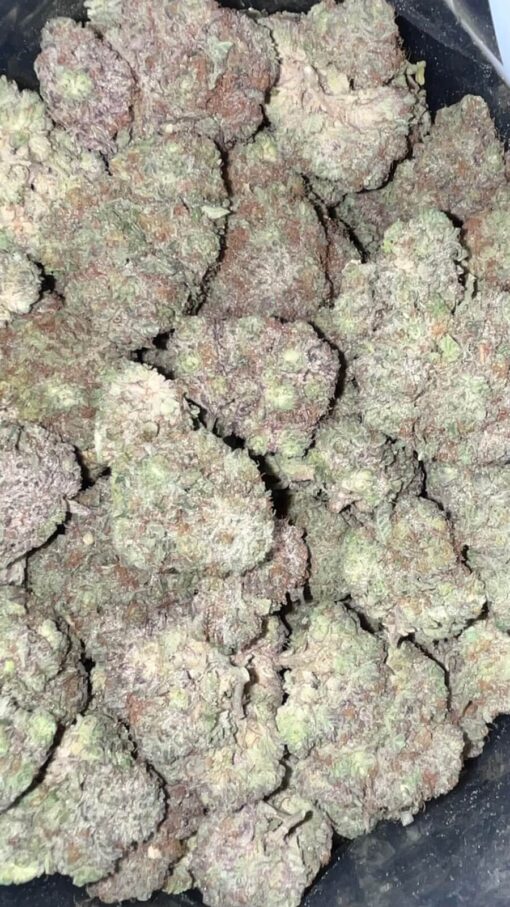 AAAA GUCCI PINK BY GREEN VALLEY