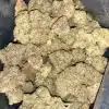 AAAA BISCOTTI MINTZ