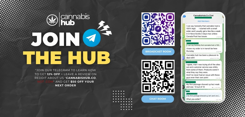 cannabishub telegram banner promotion