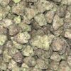 Wholesale 6 AAAA MANGO TANGO MEDIUMS BY GREEN VALLEY