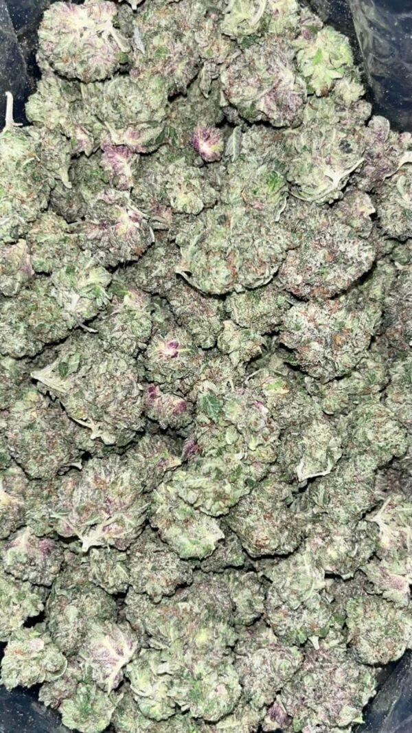 AAAA SUPER GRAND DADDY PURPLE SMALLS BY GREEN VALLEY