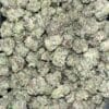 AAAA PINK GOO SMALLS BY GREEN VALLEY