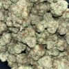 Wholesale 18 AAA+ GELATO PUSH POP