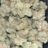 Wholesale 17 AAA+ LOYAL