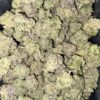 Wholesale 7 AAAA PREDATOR PINK SMALLS ,BY GREEN VALLEY