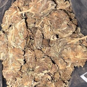 AA BUDGET BLUEBERRY BY ECONO BUD