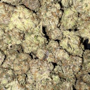 AAA+ GRAND MASTER SEXY