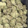 Wholesale 16 AAAA GRAND DADDY PURPLE MEDIUMS BY GREEN VALLEY