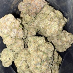 AAAA JUMBO ATOMIC CRUNCH BERRY BY XL FLOWERS