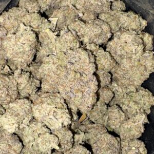 AAA+ MIRACLE ALIEN COOKIES