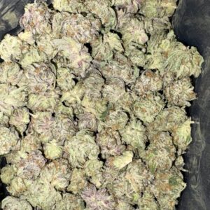 AAAA PINK CAKE SMALLS BY GREEN VALLEY