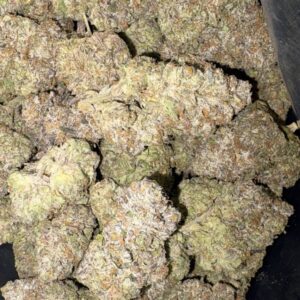 AAAA PURPLE POWER PLANT BY GREEN VALLEY