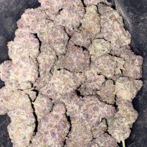 AAAA+ SUPER BUFF CHERRY BY KOOTANEYZ EXOTICZ