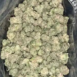 AAA+ CEREAL MILK SMALLS