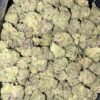 AAAA  BLUE MIMOSA SMALLS  BY GREEN VALLEY