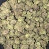 AAAA+ DONKEY BUDDER SMALLS