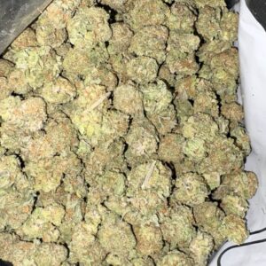 AAA+ GOUDA BERRY SMALLS BY BLOOM THEORY