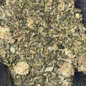 AAAA PURPLE PUSH POP SHAKE BY GREEN VALLEY