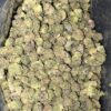 AAAA PINE TAR MICRO SMALLS BY GREEN VALLEY