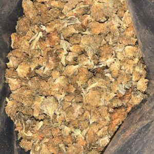 AA  ALIEN OG  SMALLS BY ECONO BUD