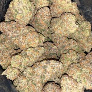 AAA+ BUBBLEGUM RUNTZ BY GREEN VALLEY