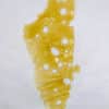 Wholesale 20 AAAA FRITTER LICKER SHATTER