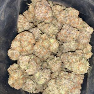 AAA+ MAGIC MARKER BY GREEN VALLEY