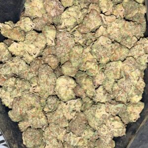 AAA MATARO BLUE MEDIUMS