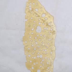 AAAA+ MORNNG DUE SHATTER