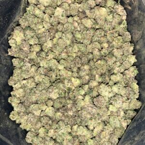 AAAA+ PHOENIX TEARS MICRO SMALLS