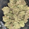 Wholesale 4 AAA+ PINE SKUNK BY GREEN VALLEY