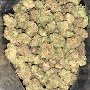 AAAA PINK KITTY SMALLS BY GREEN VALLEY