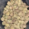 AAA PURPLE CANDY MEDIUMS