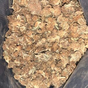 AA PURPLE KUSH SMALLS BY ECONO BUD