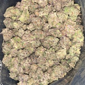 AAA+ PURPLE SPACE SMALLS