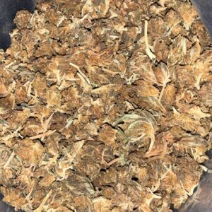 AA STRAWBERRY SHORTCAKE SMALLS BY ECONO BUD