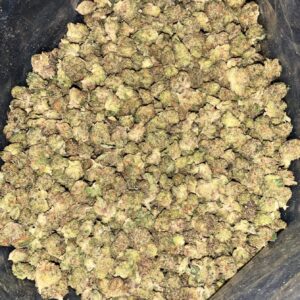 AAAA TOMB RAIDER MICRO SMALLS