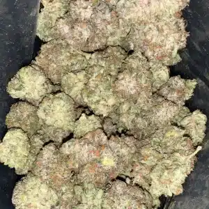 AAAA STAR MASTER KUSH