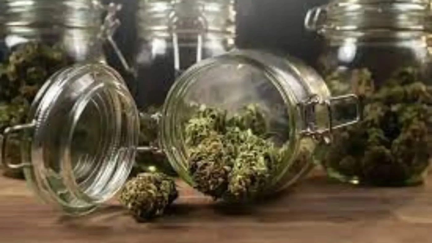 Safe Cannabis Storage & Use in Canada 2 Safe Cannabis Storage & Use in Canada Keep Potency High & Your Home Secure