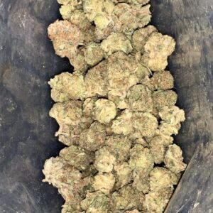 AAA+ GREASE MONKEY MEDIUMS