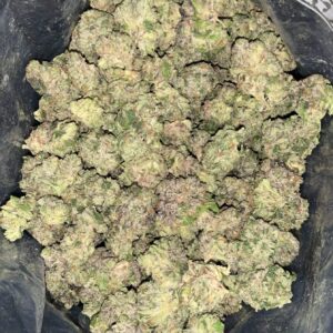 AAAA+ GUCCI PINK MEDIUMS