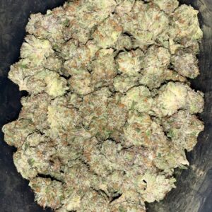 AAAA MASTER GLUE MEDIUMS